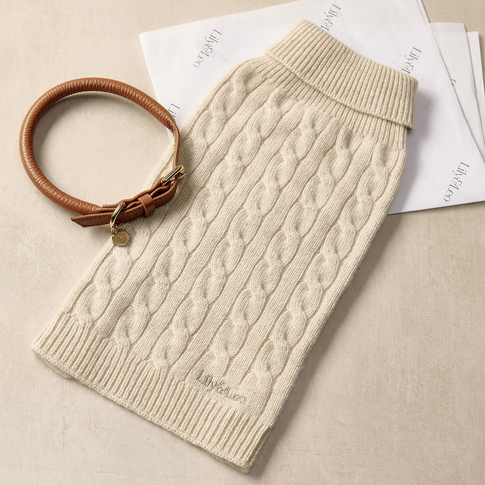 Cashmere Jumper - cream